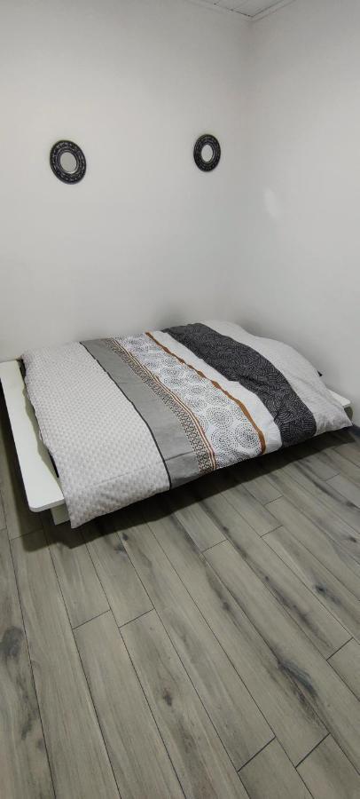 Appartement En Centre Ville Thonon-les-Bains Eksteriør bilde